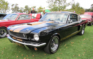 Mustang, Hertz, Rental, American Cars, History