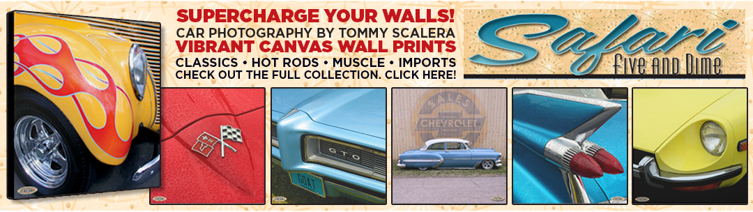 Safari-details ad bannerFINL-3
