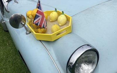 Monterey 2025 Review: Concours d’Lemons